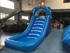 Dolphin Water Slide Dolphin Water Slide